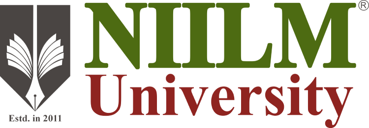 NIILM University